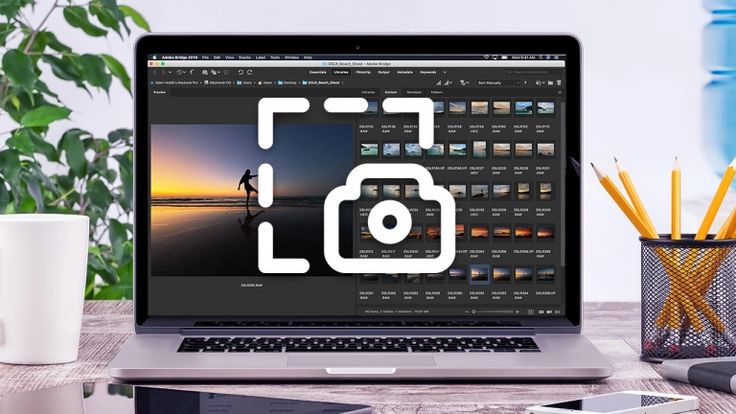 How to Stop Screen Recording on Mac